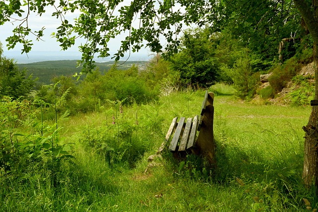 也让队友士 也让队友士