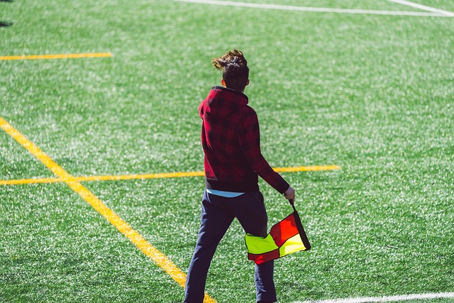 哈洛领衔进 哈洛领衔进