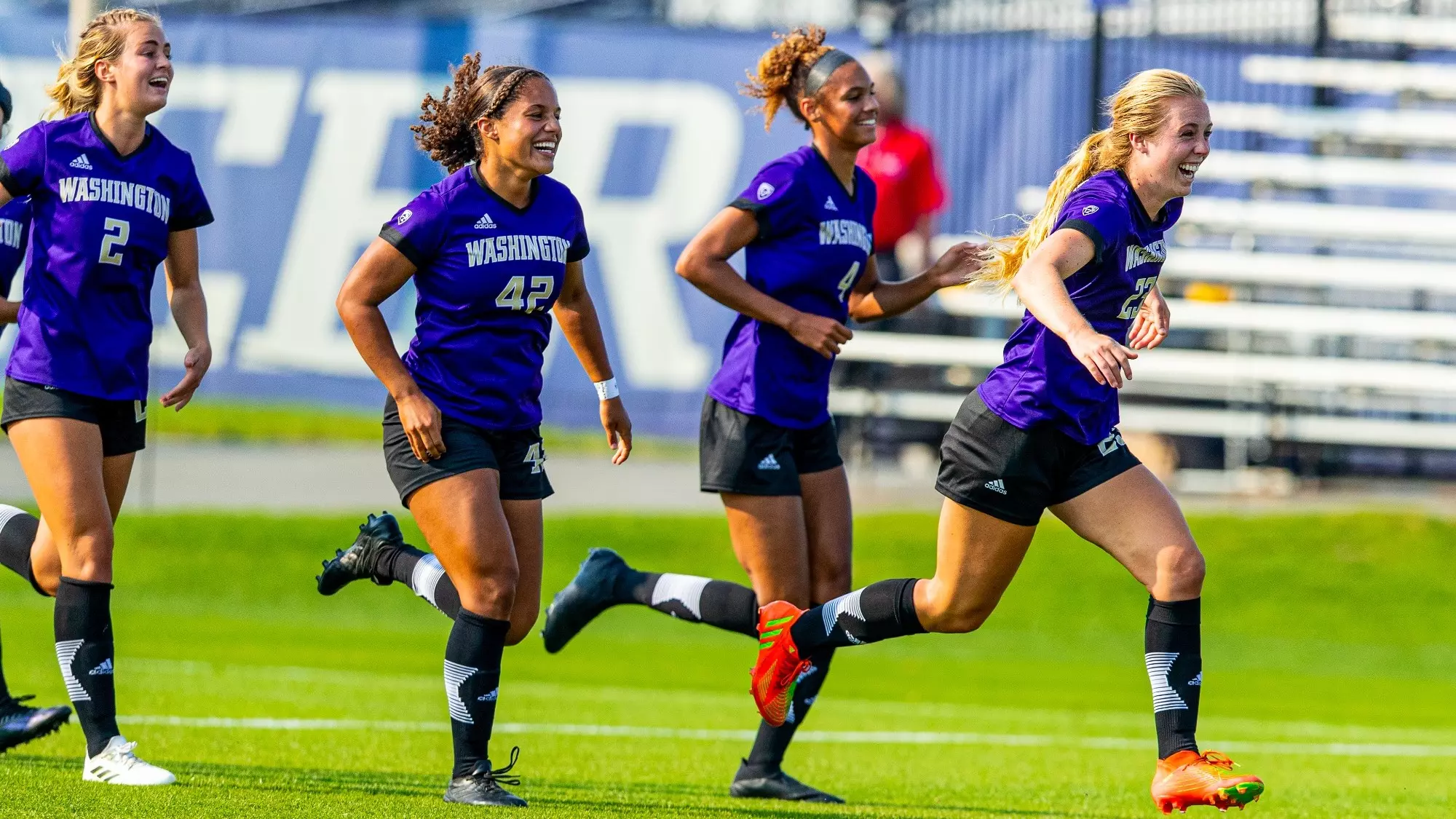 他已多次入 他已多次入