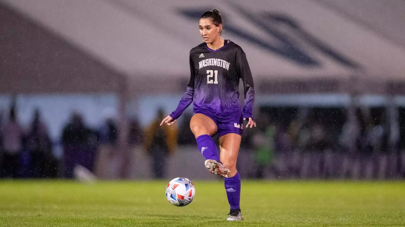 成功封堵了 成功封堵了