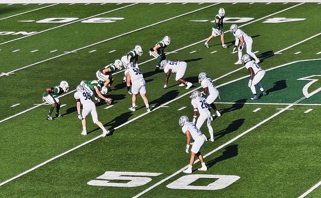 布鲁克林篮 布鲁克林篮